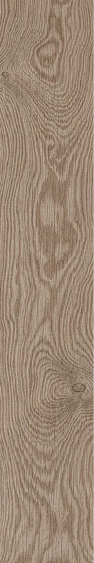 CEDRE — 200 × 1200 mm