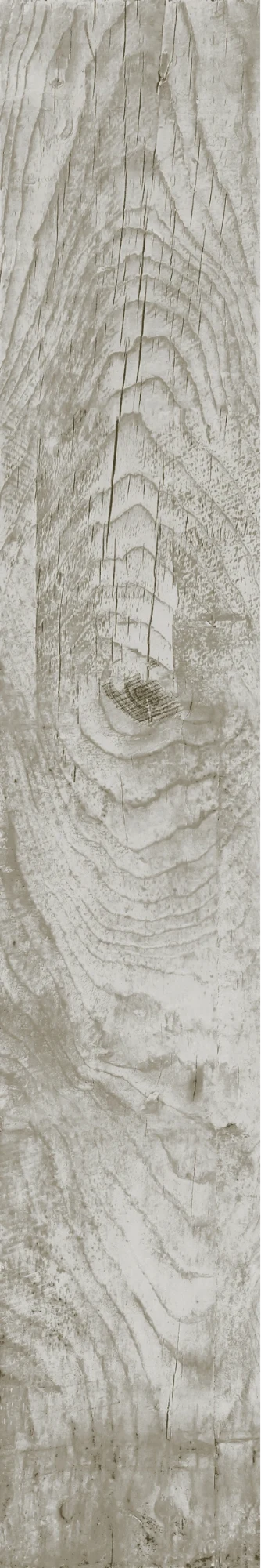 TRONCO — 200 × 1200 mm