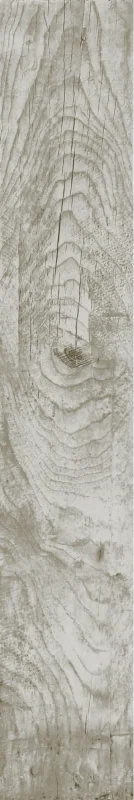TRONCO — 200 × 1200 mm