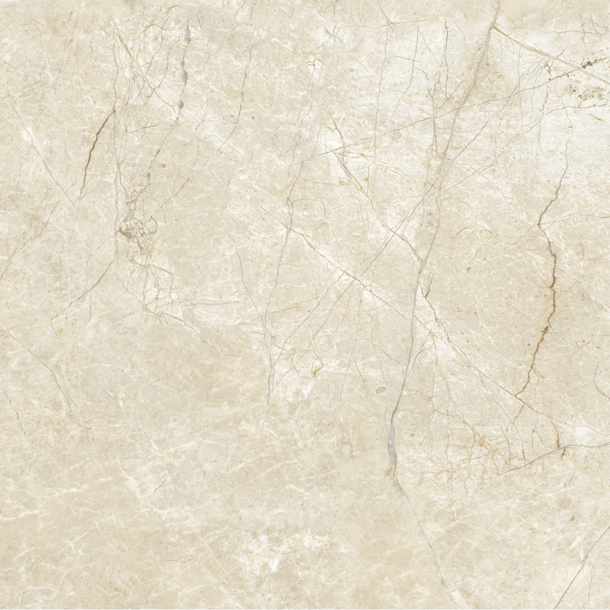 TERRANGA — MARINGO — 600 × 600 mm