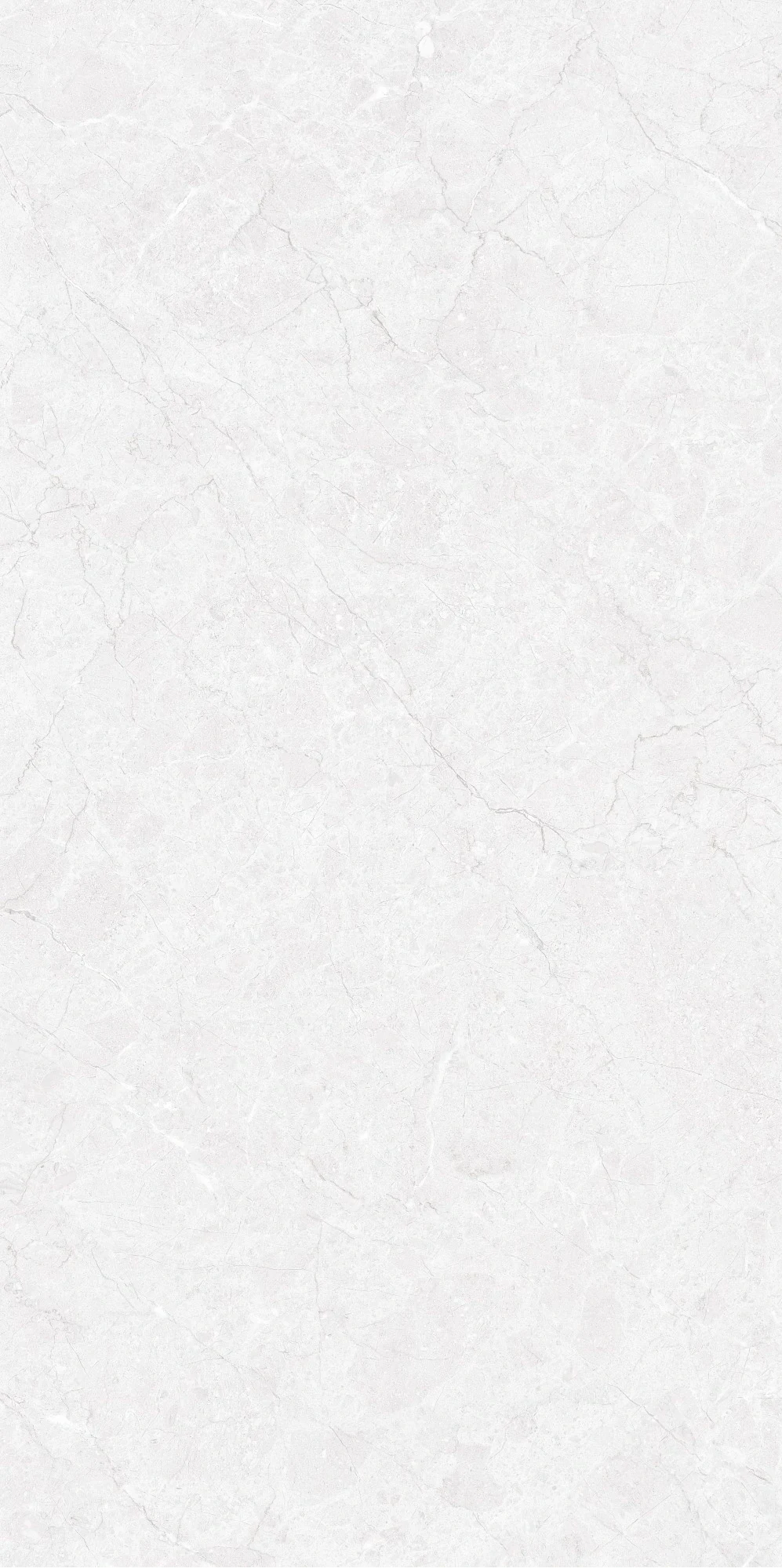 GAMBETTA — White — 600 × 1200 mm
