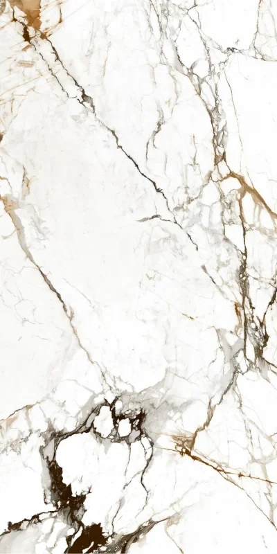 SAUVAGE — 600 × 1200 mm