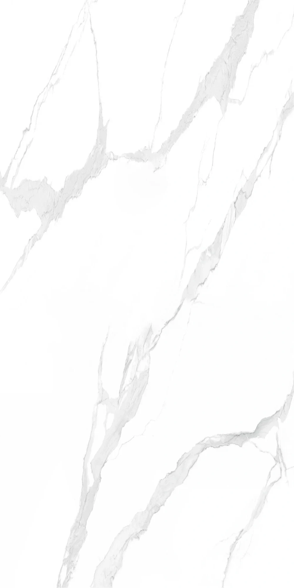 ROYAL — 600 × 1200 mm
