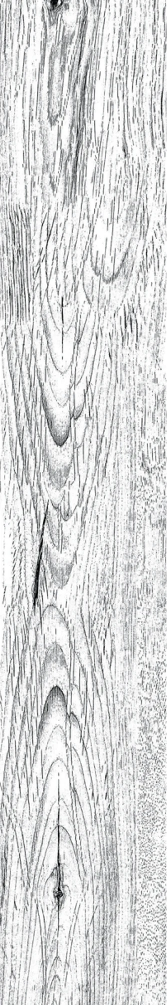 FIBRA