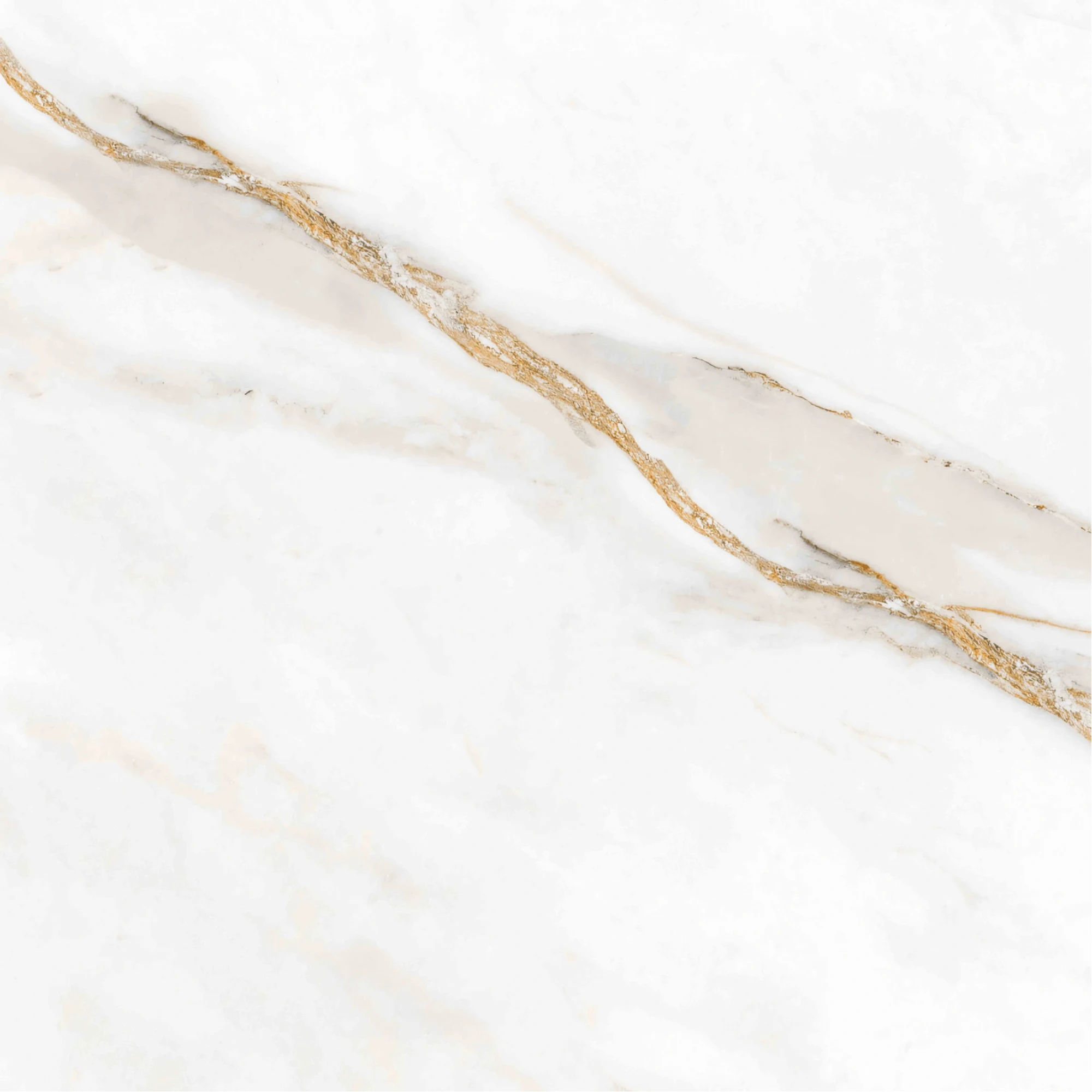 IVORY — GOLD — 600 × 600 mm