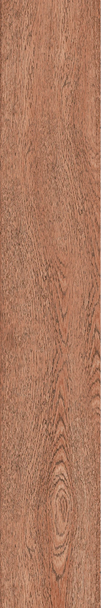 JUNIPER — 200 × 1200 mm