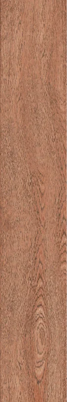 JUNIPER — 200 × 1200 mm