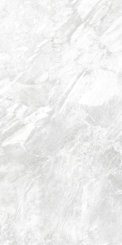 SILVER — GRIS — 600 × 1200 mm