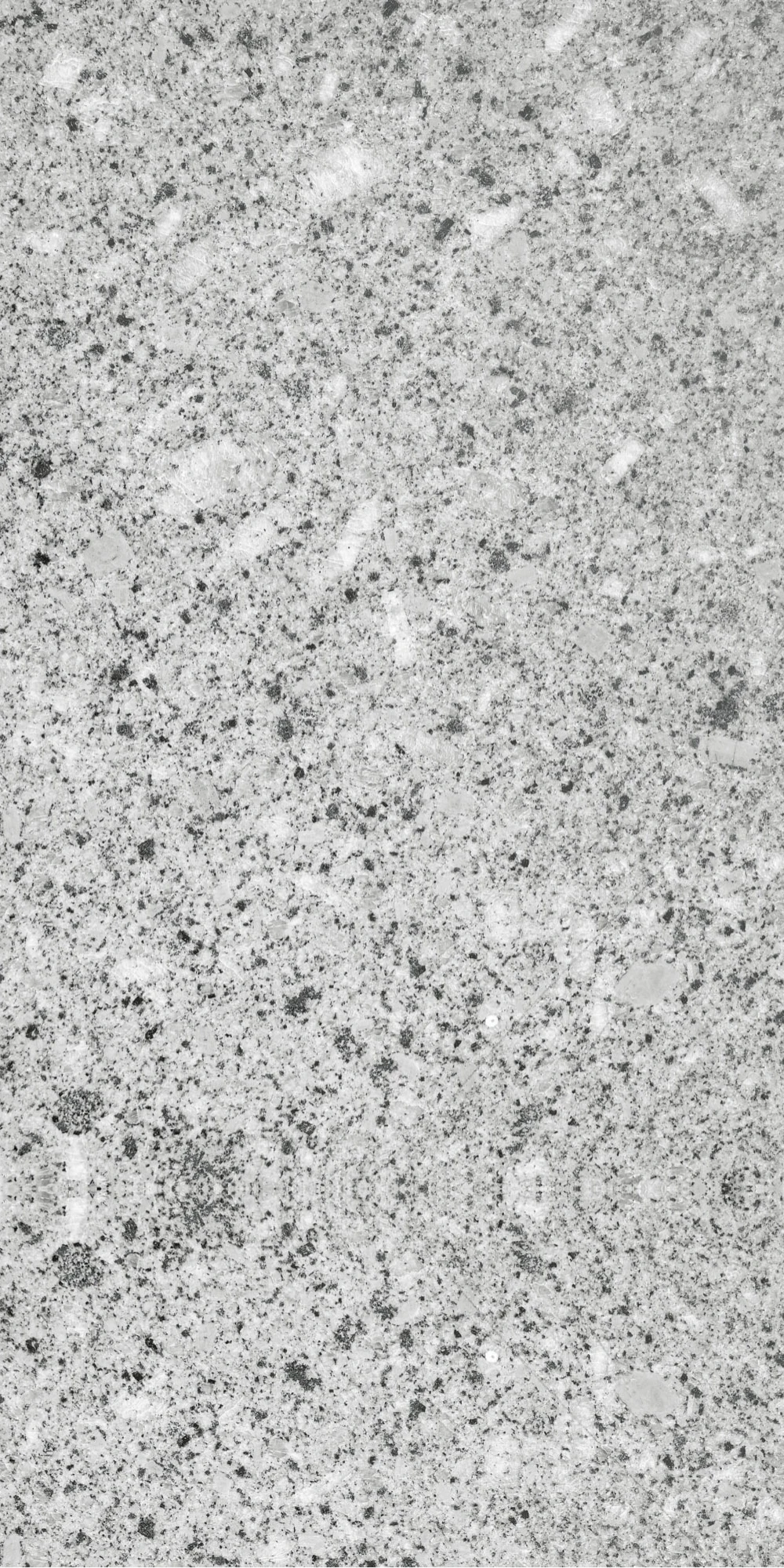 GRANITE — GREY — 600 × 1200 mm
