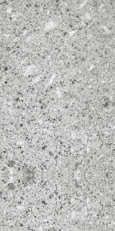 GRANITE — GREY — 600 × 1200 mm