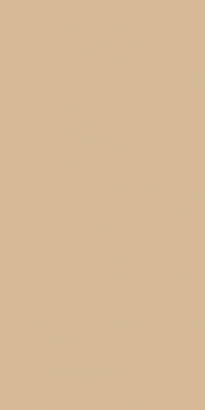 ESPACE — CREMA — 600 × 1200 mm